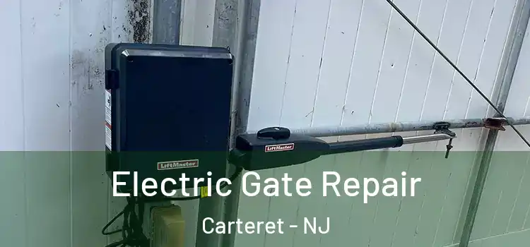 Electric Gate Repair Carteret - NJ