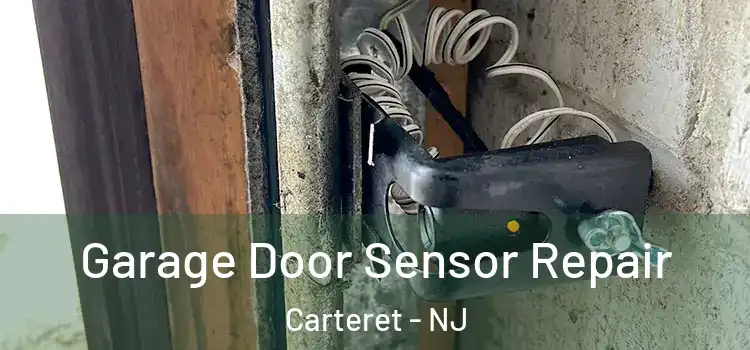 Garage Door Sensor Repair Carteret - NJ