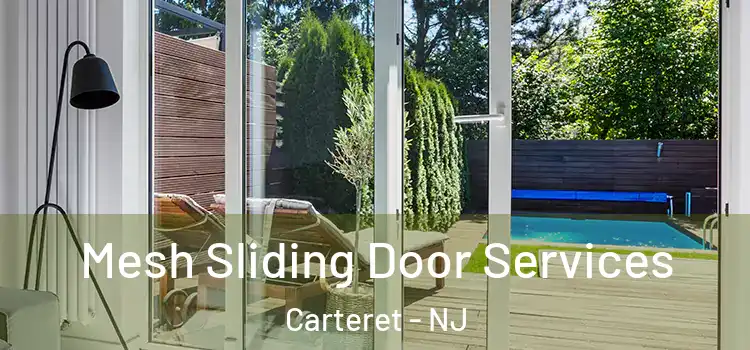 Mesh Sliding Door Services Carteret - NJ