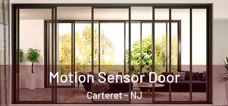 Motion Sensor Door Carteret - NJ